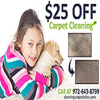 Avatar of CleaningCarpetDallas
