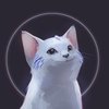 Avatar of SilvainFox
