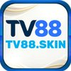 Avatar of tv88skin