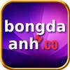 Avatar of bongdaanh2