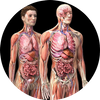 Avatar of anatomydecoded
