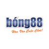 Avatar of Link Vào Bong88