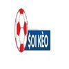Avatar of soikeotoday