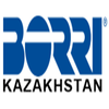 Avatar of borrikz