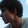 Avatar of san_paullo