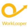 Avatar of Worklooper Consultants Pvt Ltd