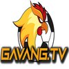 Avatar of gavangtvworld