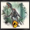 Avatar of komodo47