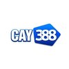 Avatar of CAY388