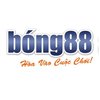 Avatar of bong88_holdings