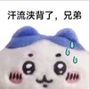 Avatar of a3848894