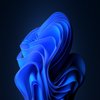 Avatar of jpdes6310