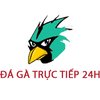 Avatar of Đá Gà Trực Tiếp 24h