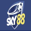 Avatar of sky88ist