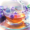 Avatar of LavenderTea Dev