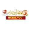 Avatar of HAY88