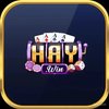 Avatar of 2Haywin io