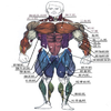 Avatar of wpp-01