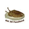 Avatar of dot_3D_Fossiland
