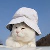Avatar of danglinh36