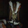 Avatar of srush651