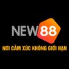 Avatar of NEW88