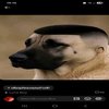 Avatar of dogkunn2