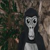 Avatar of rileypoulin482