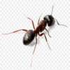 Avatar of tgrizdos