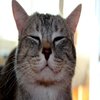 Avatar of Simon54