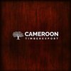 Avatar of CAMEROON TIMBER EXPORT Sarl