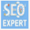 Avatar of SEO Expert in Bangladesh