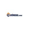 Avatar of Bong88
