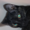 Avatar of nyctomatic