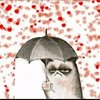 Avatar of 小火柴