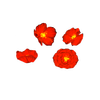 Avatar of Z-ca