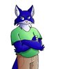 Avatar of OneRandomFox1