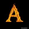 Avatar of 1041063