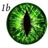 Avatar of Zhou67
