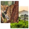 Avatar of jeepsafarirajaji2