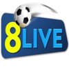 Avatar of 8Live3u cn com