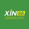 Avatar of Xin88