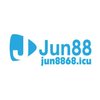 Avatar of jun8868icu
