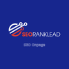 Avatar of SEO Onpage SEORANKLEAD