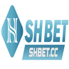Avatar of shbet cc