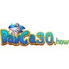 Avatar of Banca30 how