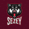 Avatar of Sezey🎮