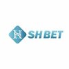 Avatar of shbetvndcom