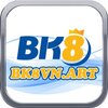 Avatar of bk8vnart