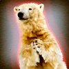 Avatar of Funny_Bear2